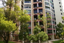 Blk 288F Bukit Batok Street 25 (Bukit Batok), HDB 5 Rooms #333372